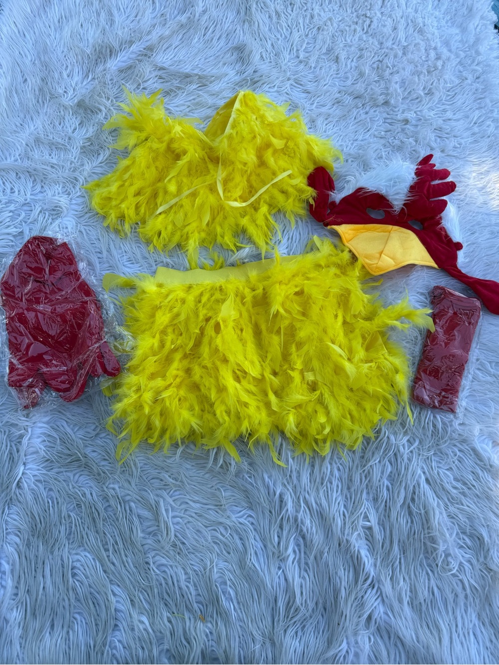 Women’s chicken costume (B6)